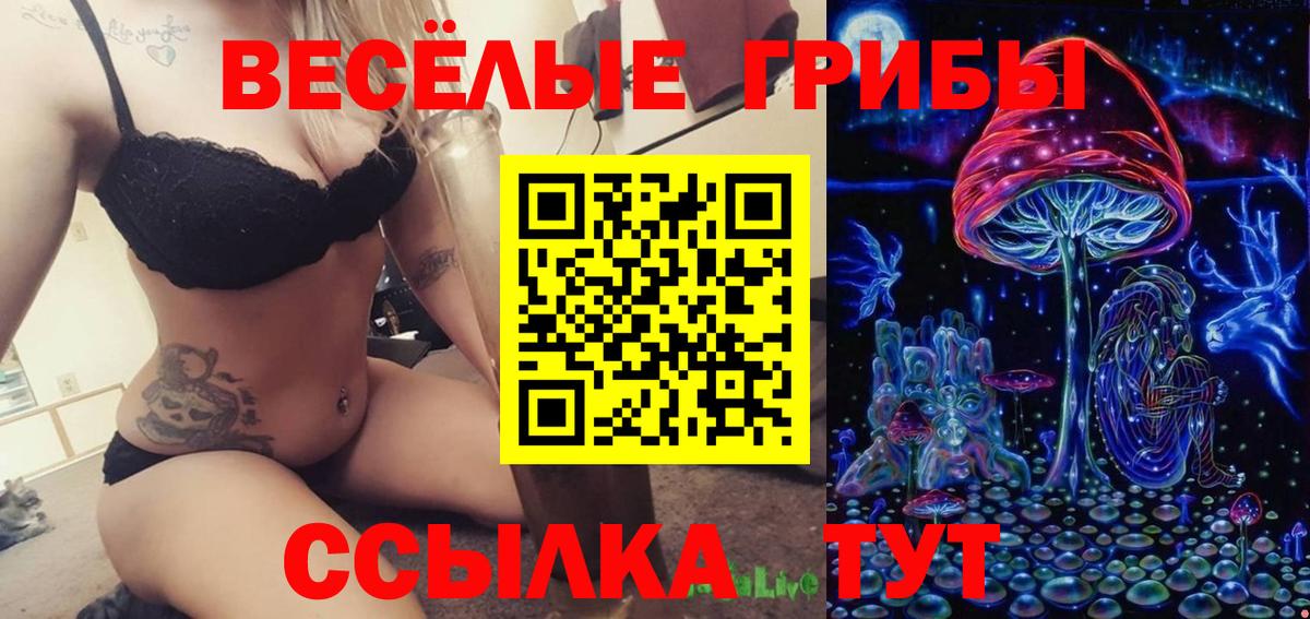 Среднеуральск  Псилоцибиновые грибы Psilocybine cubensis  Вход с VPN 
