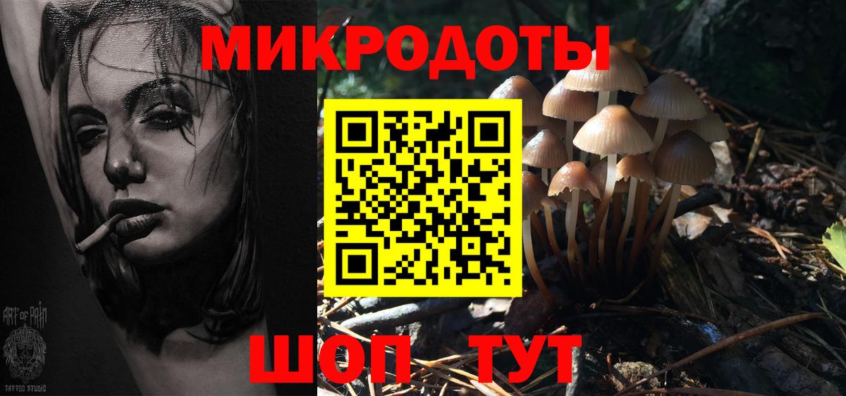 Галлюциногенные грибы Psilocybine cubensis Среднеуральск